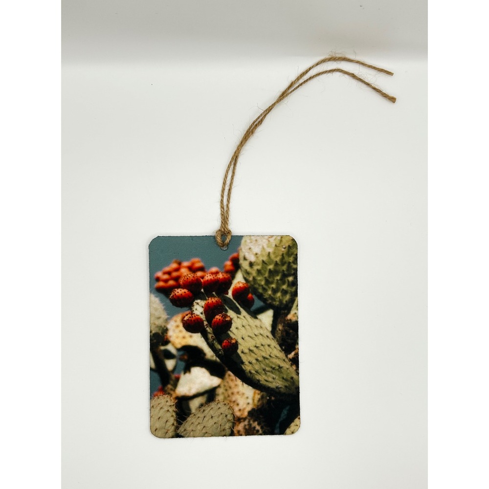 Felt Car Freshie Cactus Print Air Freshener Butt Naked Scent Tropical Oil Spray